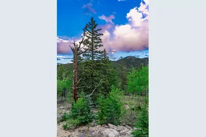 274 Folsom Dr, Como, CO 80432 - Photo 48