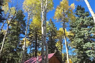 9626 State Hwy 165, Rye, CO 81069 - Photo 4