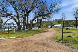 9490 Spruce Mountain Rd, Larkspur, CO 80118 - Photo 44