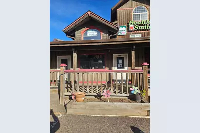 25997 Conifer Road, Conifer, CO 80433 - Photo 4
