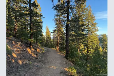 31254 Sugarhill Lane, Evergreen, CO 80439 - Photo 20