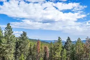 9001 S Warhawk Rd, Conifer, CO 80433 - Photo 40