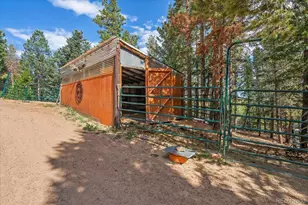 9001 S Warhawk Rd, Conifer, CO 80433 - Photo 34