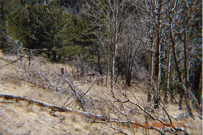 2734 Newman, Fort Garland, CO 81133 - Photo 8