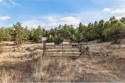 48 Alex Court, Cotopaxi, CO 81223 - Photo 8