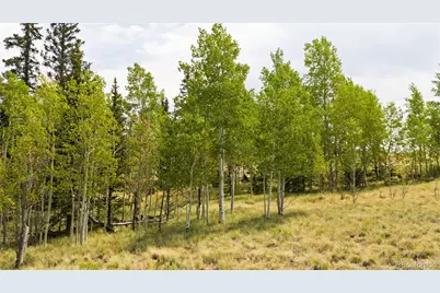 540 Turk Pony Way, Como, CO 80432 - Photo 4