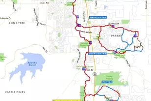 17166 Yellow Rose Way, Parker, CO 80134 - Photo 26