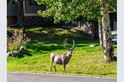 31719 Rocky Village Drive #311, Evergreen, CO 80439 - Photo 28
