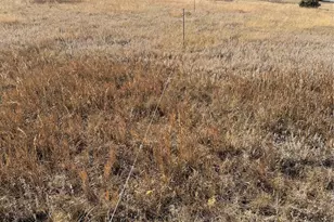 2490 Browning Dr, Castle Rock, CO 80109 - Photo 26