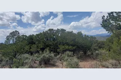 Lot 7853 Malott Road, Fort Garland, CO 81133 - Photo 8