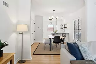 1120 Grape St, Denver, CO 80220 - Photo 10