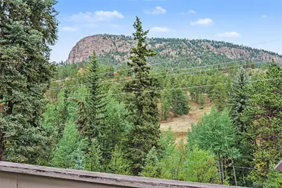 809 Roland Drive, Bailey, CO 80421 - Photo 2