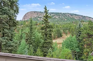 809 Roland Dr, Bailey, CO 80421 - Photo 2