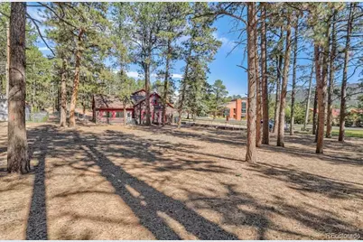 312 N West Street, Woodland Park, CO 80863 - Photo 48