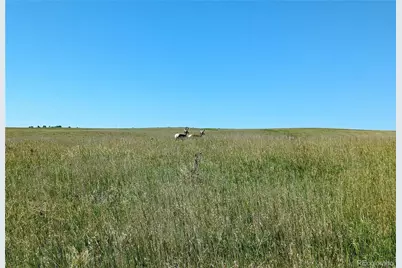 Parcel 9 Quietude Lane, Kiowa, CO 80117 - Photo 14
