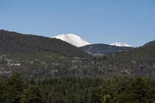 8731 Grizzly Way, Evergreen, CO 80439 - Photo 26