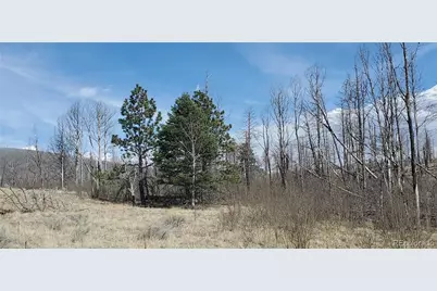 Lot 1209 Emery Loop, Fort Garland, CO 81133 - Photo 10