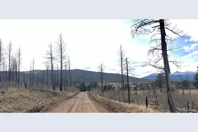Lot 1209 Emery Loop, Fort Garland, CO 81133 - Photo 12
