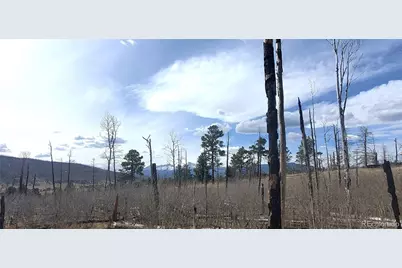 Lot 1209 Emery Loop, Fort Garland, CO 81133 - Photo 6