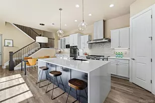 10197 Belvedere Ln, Lone Tree, CO 80124 - Photo 4