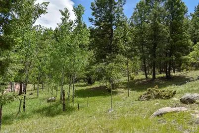 281 Deer Lane, Guffey, CO 80820 - Photo 14