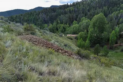 281 Deer Lane, Guffey, CO 80820 - Photo 30
