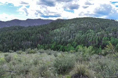 281 Deer Lane, Guffey, CO 80820 - Photo 26