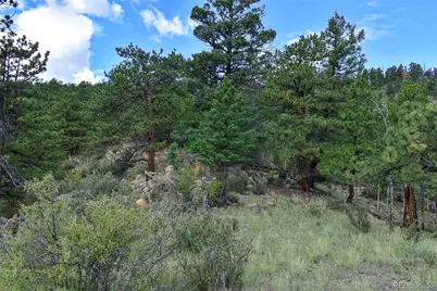 281 Deer Lane, Guffey, CO 80820 - Photo 22