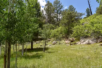 281 Deer Lane, Guffey, CO 80820 - Photo 10