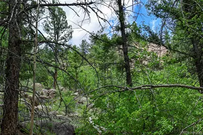 281 Deer Lane, Guffey, CO 80820 - Photo 18