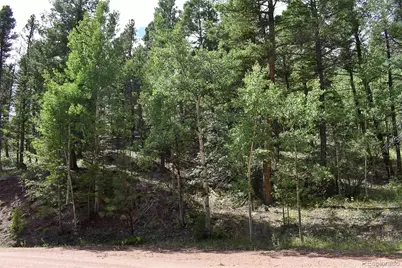 281 Deer Lane, Guffey, CO 80820 - Photo 34