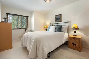 787 Mulligan St, Fraser, CO 80442 - Photo 30