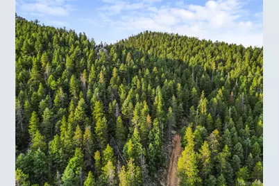 26273 Richmond Hill Road, Conifer, CO 80443 - Photo 28