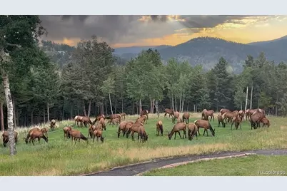 26273 Richmond Hill Road, Conifer, CO 80443 - Photo 14