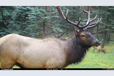 26273 Richmond Hill Road, Conifer, CO 80443 - Photo 20