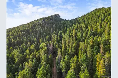 26273 Richmond Hill Road, Conifer, CO 80443 - Photo 36