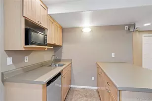 6380 Millbridge Ave, Castle Rock, CO 80104 - Photo 40