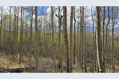 Lot 5902 Slegers Road, Fort Garland, CO 81133 - Photo 8