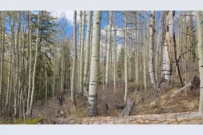 Lot 5902 Slegers Road, Fort Garland, CO 81133 - Photo 20