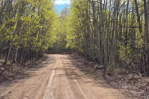 Lot 5902 Slegers Rd, Fort Garland, CO 81133 - Photo 1