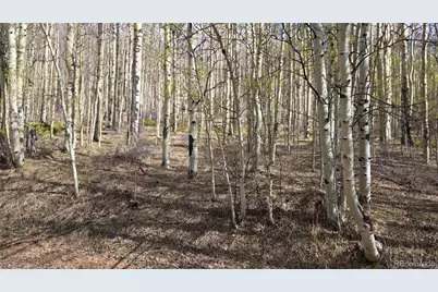 Lot 5902 Slegers Road, Fort Garland, CO 81133 - Photo 14
