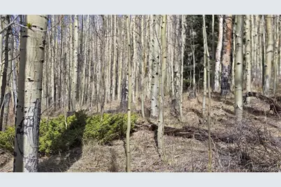 Lot 5902 Slegers Road, Fort Garland, CO 81133 - Photo 6