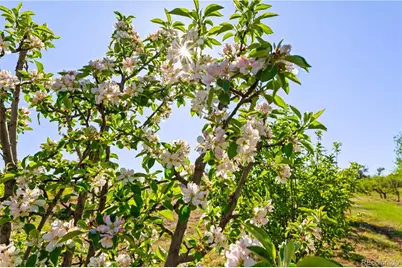 65295 US Highway 50, Fowler, CO 81039 - Photo 40