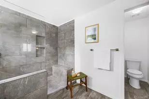 11183 Glenmoor Ct, Parker, CO 80138 - Photo 32