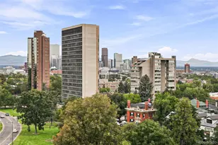 1223 Race St, Denver, CO 80206 - Photo 38