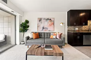 1223 Race St, Denver, CO 80206 - Photo 12
