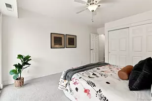 1223 Race St, Denver, CO 80206 - Photo 22