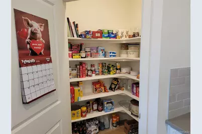 18141 Prince Hill Cir., Parker, CO 80134 - Photo 8