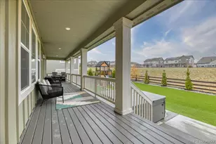 2867 Fellswoop Dr, Castle Rock, CO 80108 - Photo 44