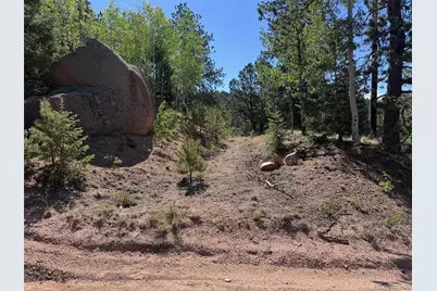 2334 N Mountain Estates Road, Florissant, CO 80816 - Photo 14